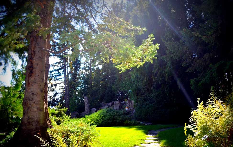 Weddings at Ohme Gardens